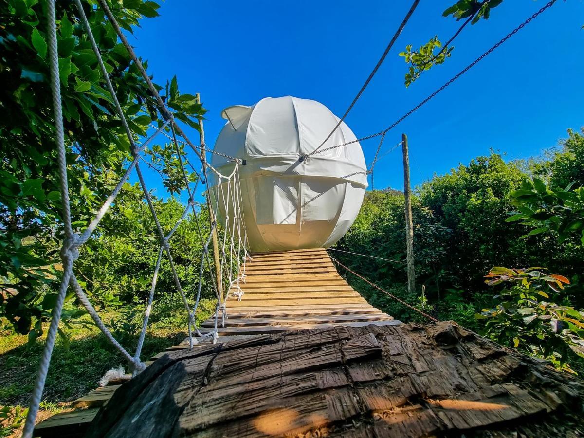 Quinta Do Abacate - Glamping Park Vila Angra do Heroísmo Exterior foto
