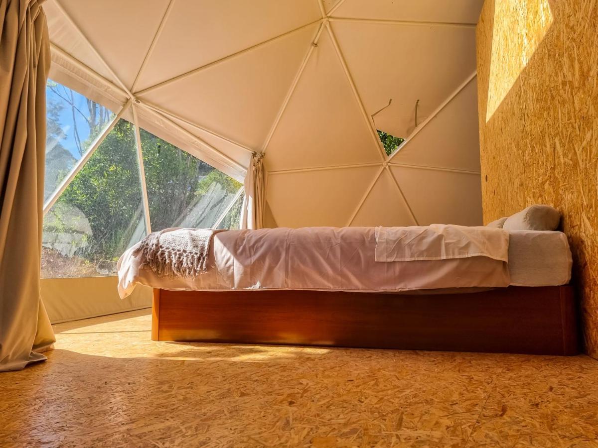 Quinta Do Abacate - Glamping Park Vila Angra do Heroísmo Exterior foto