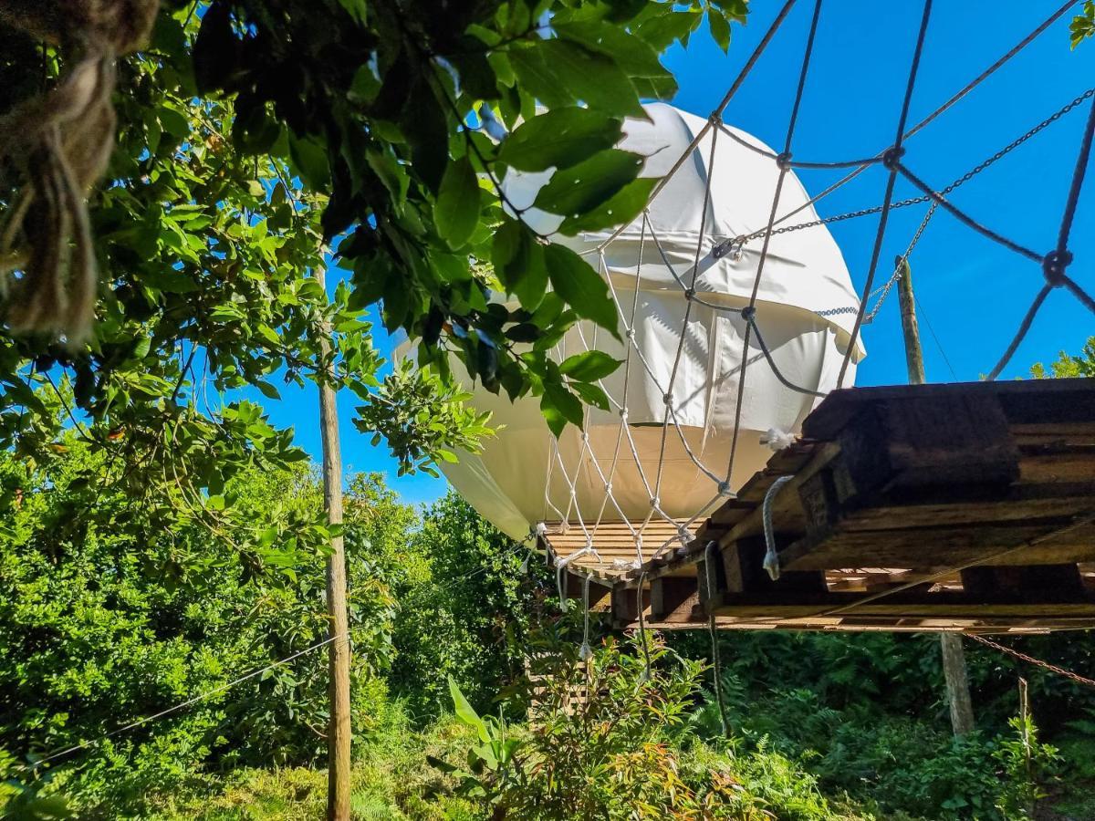 Quinta Do Abacate - Glamping Park Vila Angra do Heroísmo Exterior foto