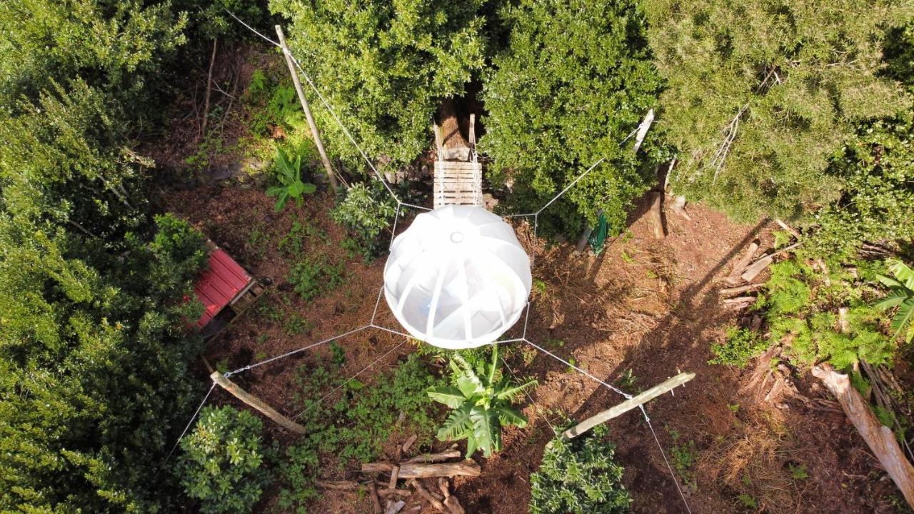 Quinta Do Abacate - Glamping Park Vila Angra do Heroísmo Exterior foto