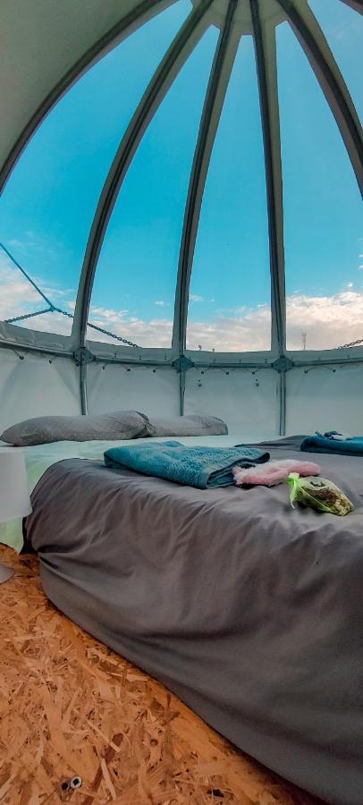 Quinta Do Abacate - Glamping Park Vila Angra do Heroísmo Exterior foto