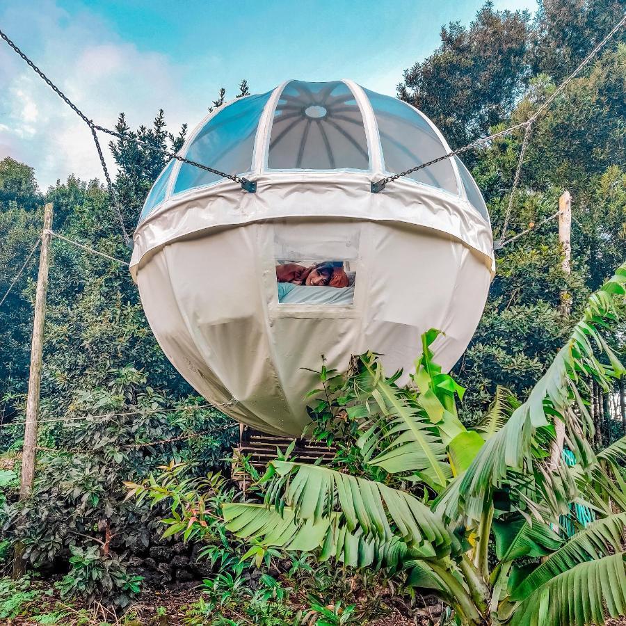 Quinta Do Abacate - Glamping Park Vila Angra do Heroísmo Exterior foto